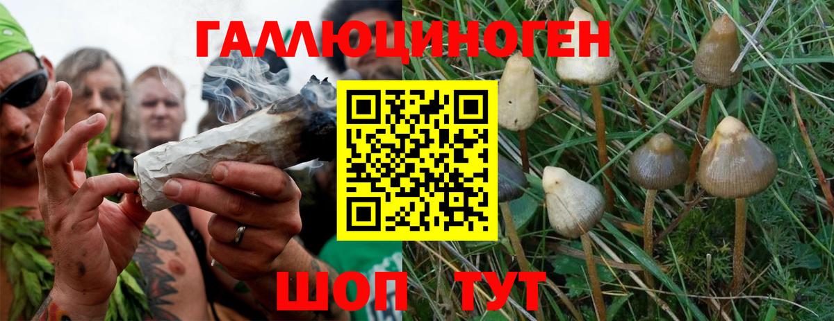 Псилоцибиновые грибы ЛСД Вологда