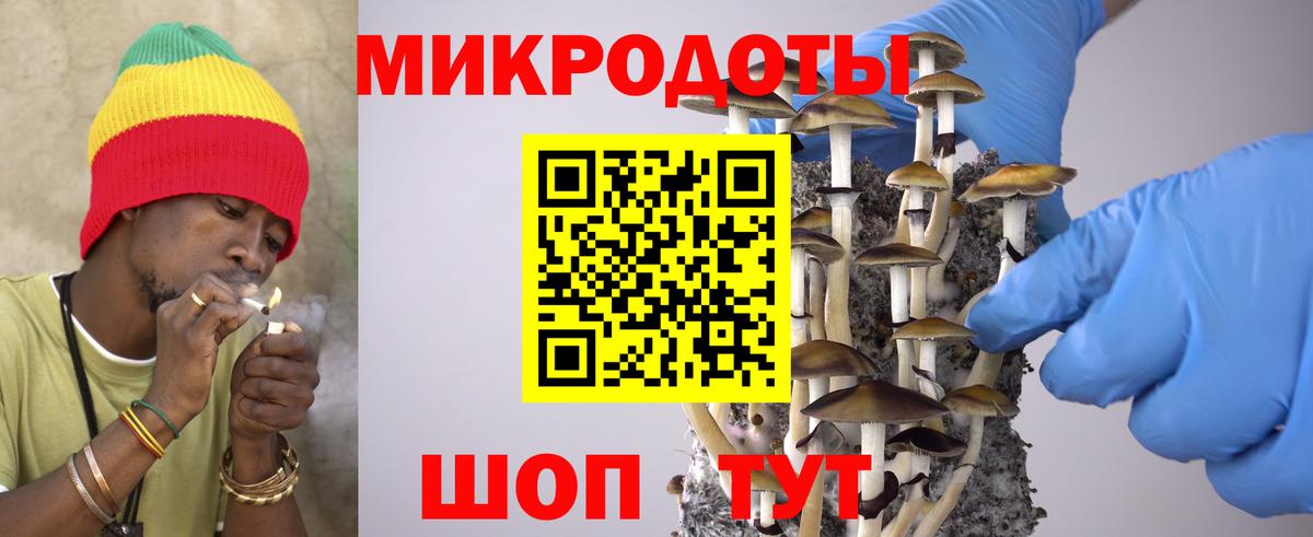наркота  Вход с VPN  Галлюциногенные грибы GOLDEN TEACHER  Вологда  Галлюциногенные грибы Psilocybine cubensis 